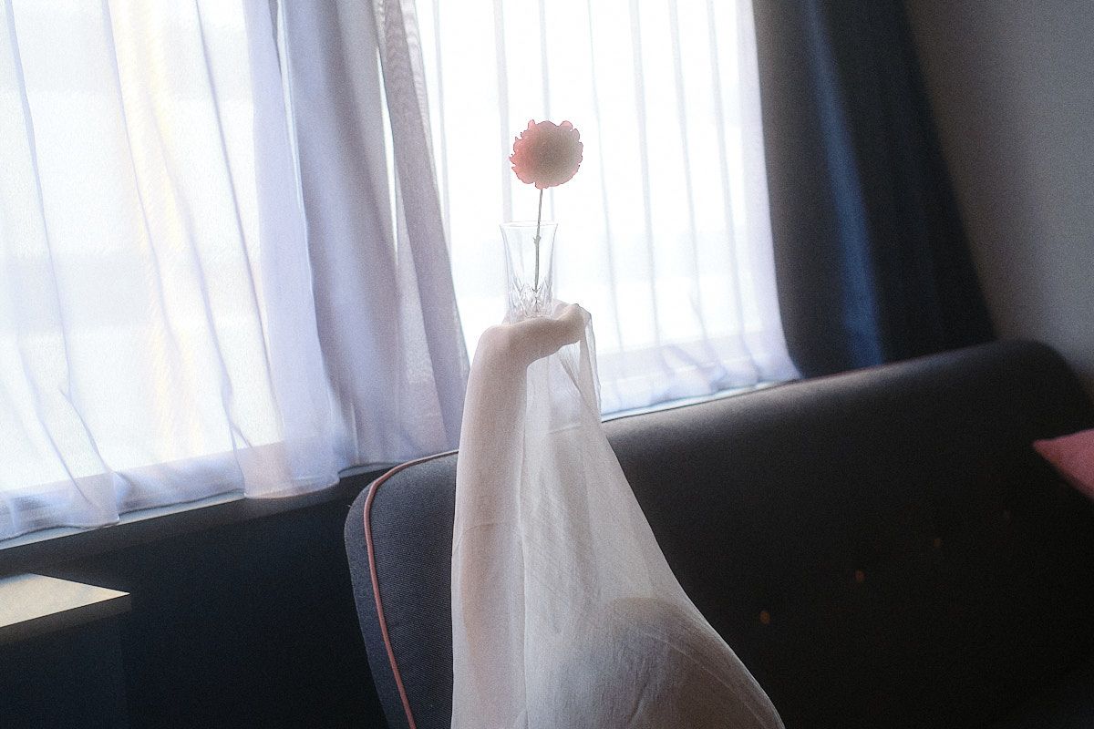 Shades of Dahlia 1